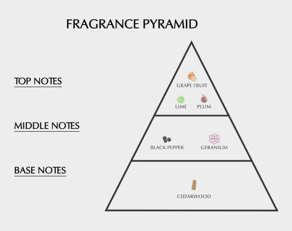 Swiss Arabian Spirit EDT Fragrance Notes Pyramid